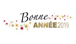 bonne-annee-2019