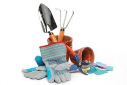 Shovel,rake,flowerpot  and gloves isolated on white.