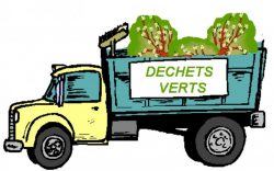 dechets-verts-800x500_c