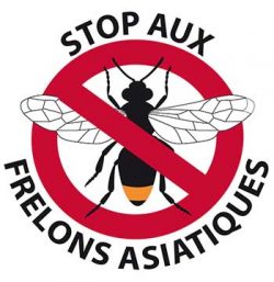 stop-Frelons