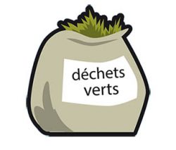 2016-collectes-dechetsverts-300