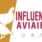 Influenza-Aviaire-Faiblement-Pathogene-Desinfection-des-exploitations-8-fevrier-2018_large